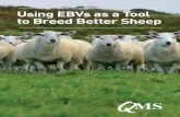 Using EBVs as a Tool to Breed Better Sheep · rams consistently outperformed rams selected by eye alone. It is, therefore, financially critical to identify rams and ewes with superior