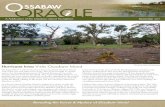OORACLE SSABAW - Ossabaw Island Foundationossabawisland.org › wp-content › uploads › Ossabaw... · the Gullah-Geechee and, in so doing, made them seem exotic, simple, and timeless.