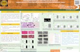 THE PATHOPHYSIOLOGIC AND MOLECULAR BASIS OF … · 2019-04-18 · induced animal model of NAFLD (DIAMOND) develops fatty liver, NASH and bridging fibrosis after 4, 16 and 36 weeks