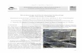 Bioarchaeology and Environmental Archaeology at the University …iansa.eu › papers › IANSA-2012-01-university-sheffield.pdf · 2012-10-19 · Bioarchaeology and Environmental