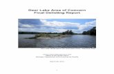 Deer Lake Area of Concern Final Delisting Report · The IJC issued general listing and delisting guidelines in 1991, and the U.S. Policy Committee adopted general guidance on the