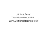 ukhorseracing.co.uk › archives › 2019 › ... · 2019-11-24 · Table of Contents Table of Contents