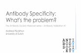 Antibody Specificity: What's the problem? › wordpress › wp-content › uploads › … · • A monoclonal antibody may not even be monoclonal Frequently (one third!): - expression
