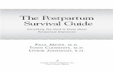 Everything You Need to Know about Postpartum …files.tyndale.com › thpdata › FirstChapters › 978-1-4143-1283...The postpartum survival guide : everything you need to know about