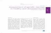 Assessment of genetic damage in healthy and diseased tissuepublications.iarc.fr/uploads/media/publication_inline/0001/02/6924bf... · copying mechanism for the genetic material.”