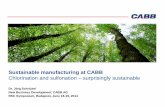 Sustainable manufacturing at CABB Chlorination and sulfonation - … · 2019-09-02 · Global market leader in Monochloroacetic Acid and its derivatives (salts, esters, acid chlorides)
