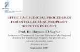 EFFECTIVE JUDICIAL PROCEDURES FOR INTELLECTUAL … › edocs › mdocs › enforcement › en › wipo_ace_1… · Prof. Dr. Hossam El-Saghir Professor of Commercial Law and Director