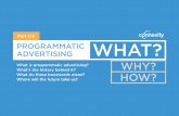 Part 1/3 PROGRAMMATIC ADVERTISING WHAT? What is …€¦ · successful campaign, but it can be useful to understand the basics... 4 What does the programmatic world look like ADVERTISER