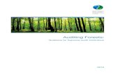 Auditing Forests - ICEDiced.cag.gov.in › ... › 02 › INTOSAI-auditing-forests.pdf · Auditing Forests: Guidance for Supreme Audit Institutions 2 ... management internal controls,