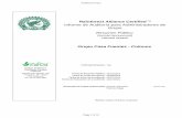 Rainforest Alliance Certified TM Informe de Auditoría para … · 2019-10-16 · Grupo Casa Fuentes - Colonos Instituto de Manejo e Certificação Florestal e Agrícola Fecha de