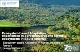 Ecosystem-based Adaptation experiences in agrobiodiverse ... · Strategies for Ecosystem based Adaptation in Colombia and Ecuador Objective: national and local government entities