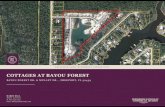 EXCLUSIVE LAND INVESTMENT OPPORTUNITY · Mexico in Walton County. This location is prime location, across the street from Mallet Bayou/Choctawhatchee Bay and minutes to all major