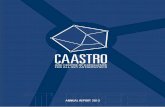 TH ANNUAL REPORT 2013REE - CAASTRO...astronomy demand entirely new approaches, requiring enormous data sets covering the entire sky. In recent years, Australia has invested more than