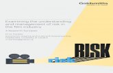 Examining the understanding and management of risk in the ...research.gold.ac.uk/...away_independent_film_sector... · The UK film industry is a flagship for, and crucial component