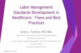 Labor Management Standards Development in Healthcare ... 2017... · 3) Collect productivity targets of FTEs, management determines target goal, using 25th percentile 15 Productivity
