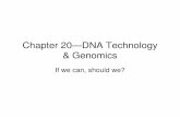 Chapter 20—DNA Technology & Genomics€¦ · • DNA Fingerprinting. Genomic Libraries—store cloned genes Can store an entire genome in a genomic library (1,000s of cloned genes)