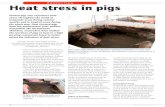 Heat stress in pigs - 001 boerderij-download-PP5278D01 stress in pigs... · Title: Heat stress in pigs - 001_boerderij-download-PP5278D01 Author: JoanParrish Created Date: 11/5/2013