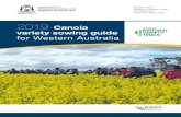 2019 Canola variety sowing guide for Western Australia · GRDC National Variety Trials (NVT) scheme, and accessed from NVT online and from Neale Sutton at NVT. The canola NVT yield