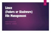 Linux (Fedora or Slackware) File Management · Linux Many users decide to use Linux based operating systems because of the freedoms they enjoy, included in the list is the freedom