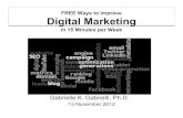 FREE Ways to Improve Digital Marketinggabrielleconsulting.com/docs/Gabrielle-Marketing-TSAENov2012.pdf · Ways to Improve Bounce Rate •Know your audience. •Create more appealing