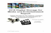2018 Digital Storage for Media and Entertainment Report · 2018-08-23 · Summary Post-Production Digital Storage Capacity Demand ..... 89 Storage Capacity and Storage Revenue Projections
