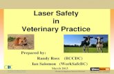 Laser Safety in Veterinary Practice · Laser Considerations: Carbon dioxide (CO 2) laser’s far infra-red radiation is highly absorbed by water. It is rapidly absorbed within the