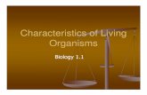 Characteristics of Living Organismswiggins50.k12.co.us › UserFiles › Servers › Server... · Characteristics of Living Organisms Biology 1.1 . Objectives Define and give examples