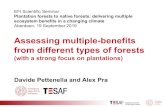 Assessing multiple-benefits from different types of forests · Presentazione di PowerPoint Author: Paolo Semenzato Created Date: 9/24/2019 12:00:51 PM ...