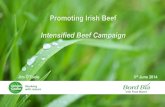 Promoting Irish Beef Intensified Beef Campaign · 2018-05-09 · Growing the success of Irish food & horticulture AIDAN COTTER CHIEF EXECUTIVE BORD BIA 28 JANUARY 2009 Growing the