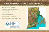 Soils of Rhode Island - RIFCO · 2019-01-04 · Objective Provide an over- view about soils that occur in Rhode Island. Discuss the use of a Soil Survey for Forestry and woodland