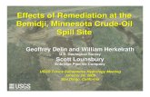 Effects of remediation at Bemidji › ps_meeting › pdfs › Delin-Toxics-Bemidji.pdf · LNAPL recovery, although common, is expensive ($100,000’s / year) BTEX analyses to evaluate