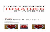 15 Edition 2020 Seed Catalogue - Casey's Heirloom Tomatoescaseysheirloomtomatoes.ca/ewExternalFiles... · In addition, Chocolate Cherry fruit are much larger than Black Cherry. It