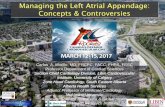 Managing the Left Atrial Appendage: Concepts & Controversies · Steering Committees: Medtronic, BSCI, Daiichi Sankyo, Biosense Webster, STOP-HARM, ASAP-TOO. SH-3-AD-3 Overview LAA