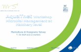 Maricoltura di Rosignano Solvay - AQUA-TNET...•Production of exo-enzymes •water quality improvement Mix of selected Bacillus species: Bacillus subtilis, B. licheniformis, B. pumilus