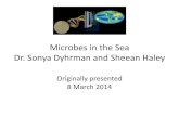 Microbes in the Sea Dr. Sonia Dyrhman and Sheean Haley · Microbes in the Sea Dr. Sonya Dyhrman and Sheean Haley Originally presented 8 March 2014. Microbial Oceanography Group •Members