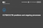 CCTB/CCCTB positions and ongoing processes...CCCTB proposal, which will favor countries with large domestic markets, while smaller export economies - like Denmark –can expect a loss