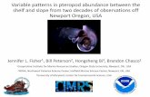 Variable patterns in pteropod abundance between the shelf and … · Variable patterns in pteropod abundance between the shelf and slope from two decades of observations off Newport