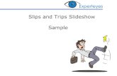 Slips and Trips Slideshow Sample - Experteyes › _docs › slideshows › Slips_Trips_Slideshow… · Slips and Trips Slideshow Sample . In this sample, we show the contents of the