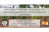 Interactions between crop trees and volunteer vegetation ...fwf.ag.utk.edu › mgray › wfs512 › seminarSP19 › MooreFlyer.pdf · volunteer vegetation in mixed oak-pine plantings