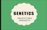 INTRODUCTION TO GENETICS & PUNNETT SQUARESjaguarbiology.weebly.com/.../5/9/8/6/59865823/genetics.pdf · 2018-09-01 · INTRODUCTION TO GENETICS •Genetics is the scientific study