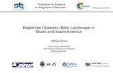 Neglected Diseases (NDs) Landscape in Brazil and South America · Dracunculiasis (guinea-worm disease) Echinococcosis Foodborne trematodiases Fasciola hot spots andes & carribbean
