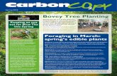 Bovey Tree Planting - Bretonside Copy › carbonnews › latest.pdf · 2018-04-13 · Bovey Tree Planting Foraging in March: spring’s edible plants Spring got off to a great start