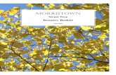 Street Tree Resource Booklet0813EA2E-B627-4F… · Golden Raintree (Koelreuteria paniculata) 34 Hackberry (Celtis occidentalis) 35 Hawthorne (Crataegus spp) 36 Hop Hornbeam (Ostrya