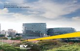 EY's attractiveness survey : Africa 2014 - Executing growthon foreign direct investment (FDI). Examining the attractiveness of a particular region or country as an investment destination,