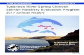 Tucannon River Spring Chinook Salmon Hatchery Evaluation ... · Dick Rogers for their cooperation with hatchery sampling, providing information regarding ... spawning, a marked increase