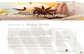 Ayurveda Paragon Newsletter Ayurveda has a very relaxing and stabilizing effect to my body and soul. Once I prepared myself with an Ayurveda cure before a long line of performances