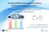 Sustainability assessment of blue biotechnology processeslcm-conferences.org/wp-content/uploads/2017... · Sustainability assessment of blue biotechnology processes: Addressing environmental,
