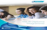The IB Diploma Programme Brochure 2017.pdfTeaching and learning in the Diploma Programme (DP) therefore incorporates the development of: • thinking skills • communication skills