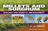 Millets and Sorghum - download.e-bookshelf.de€¦ · vi Millets and Sorghum 2 49Pearl Millet, Pennisetum glaucum (L.) R. Br. P. Sanjana Reddy 2.1 49Introduction 2.2 Origin and Taxonomy