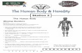 Human-Body-Heredity-Escape-Room 5 - Microsoft …toolboxforteachers.s3.amazonaws.com/Escape-Rooms/Escape...Clues are given to help you. Each number—from 1 to 10—is used exactly